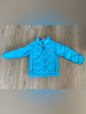 The North Face Gray and Turquoise Toddler Puffer Jacket